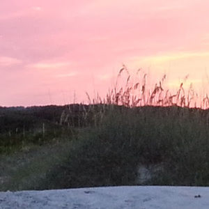 Meet your Posher, Darlene